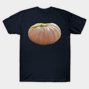 Pale Orange Pumpkin for Halloween Decoration T-Shirt